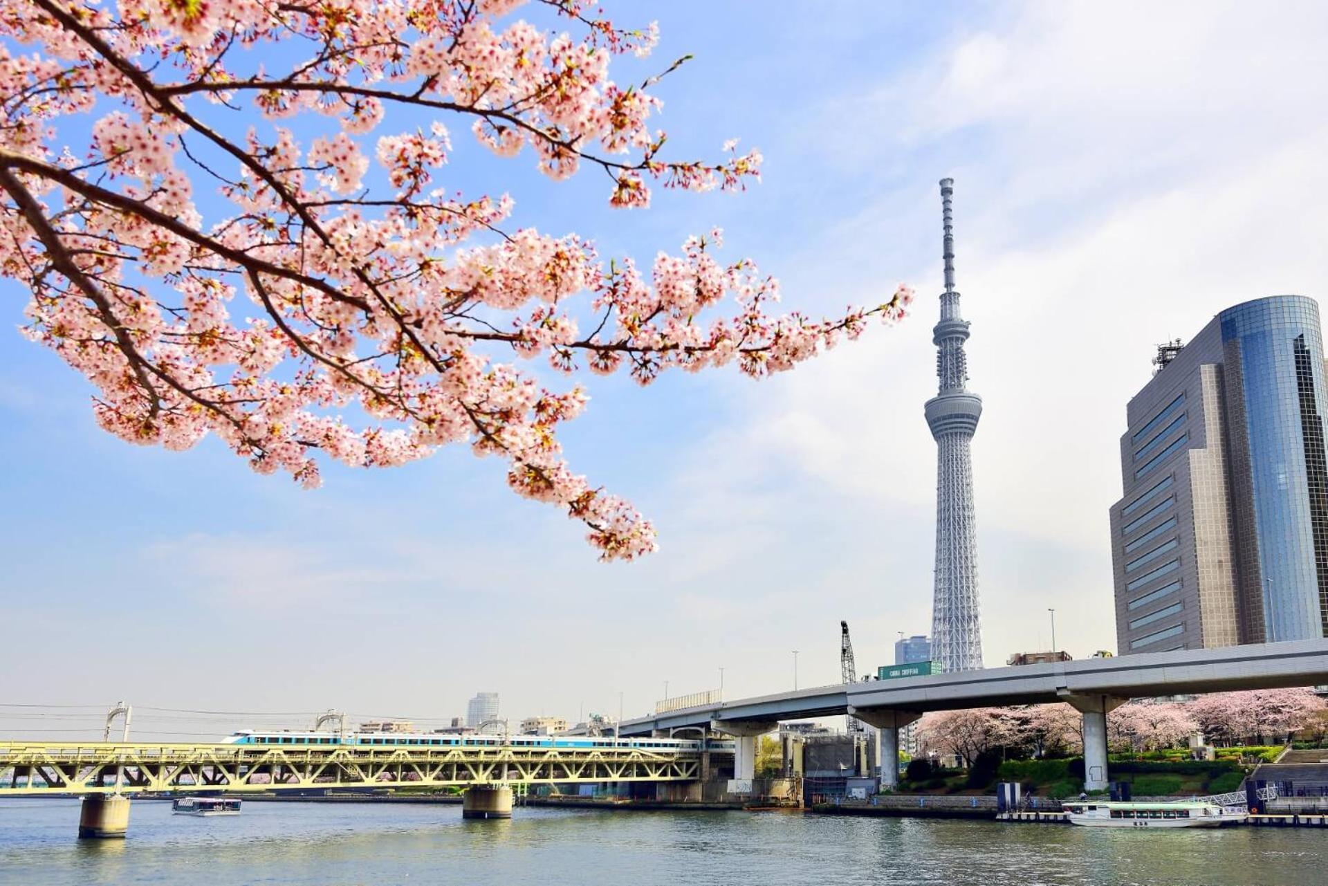 Honeys Guest House 東京都 外观 照片
